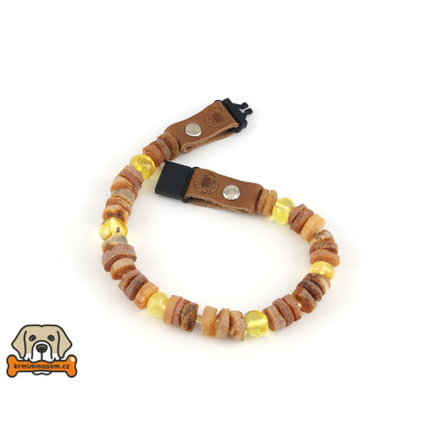 Jantarový obojek č.1 22,5 cm