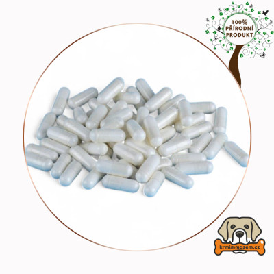 Boswellia serrata kapsle 550mg - 150 ks