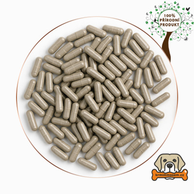 Korejský ženšen s vit. E - kapsle 400mg - 100 ks