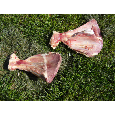 Hovězí lopatka 1 ks (cena dle sk.váhy)