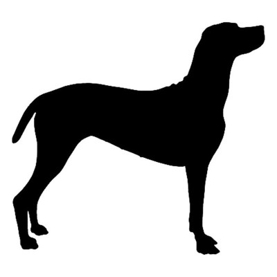 MAĎARSKÝ OHAŘ/ VIZSLA  - nálepka černá 1 ks