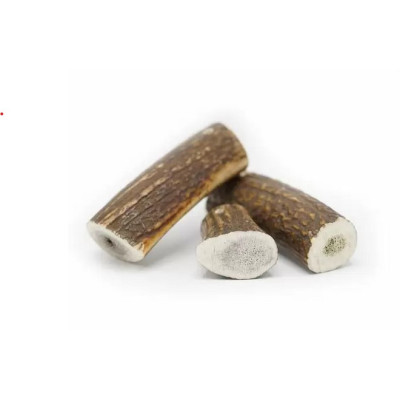 Jelení paroží "XL"