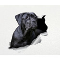 CANE CORSO - nálepka barevná 1 ks