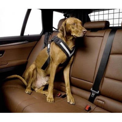 Kleinmetall Allsafe autopás pro psy velikost M