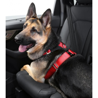 Kleinmetall Allsafe Comfort autopás pro psy velikost L, ČERNÝ