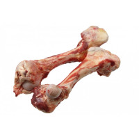 Kosti, chrupavky, šlachy 