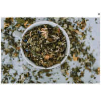 Odčervení (bez chemie)