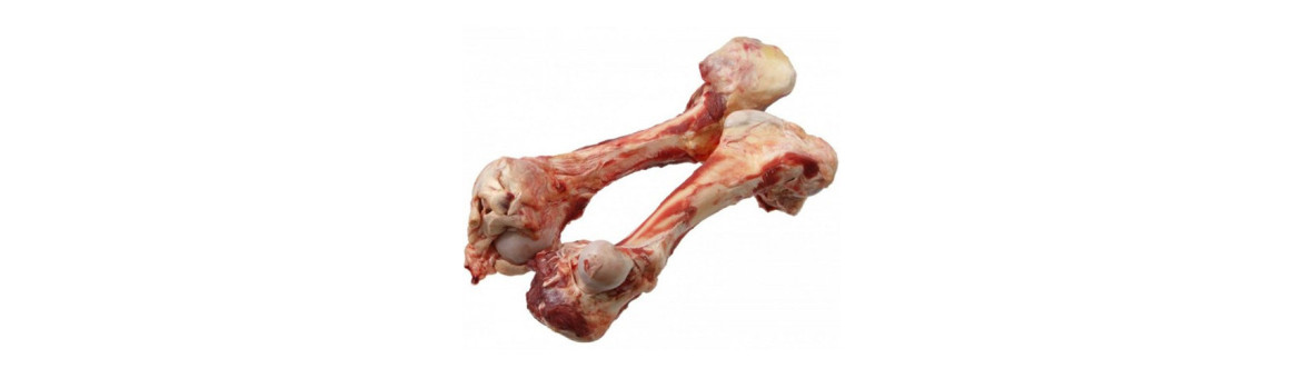 Kosti pro psy - doprava po celé ČR | KRMIMMASEM.CZ