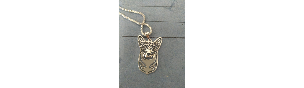 VELŠKORGI PEMBROKE (WELSH CORGI PEMBROK)