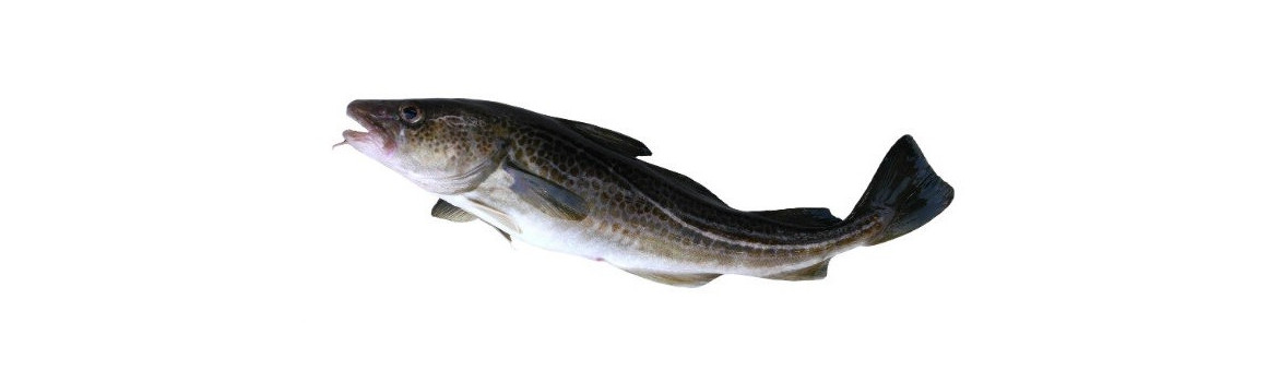 Treska