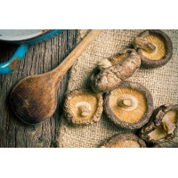 Vitální houby MycoMedica