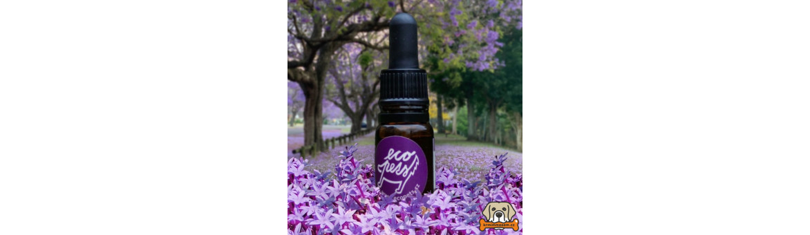 Další přírodní antiparazitické přípravky