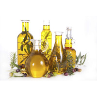 Kvalita srsti, pokožky, drápků, hojení ran