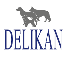 Delikan